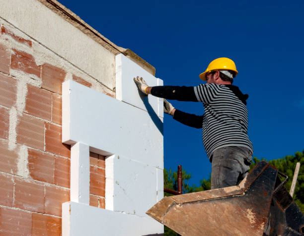 Best Insulation Maintenance and Repair in Viera West, FL